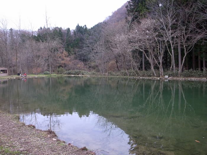 第1ポンドの全景